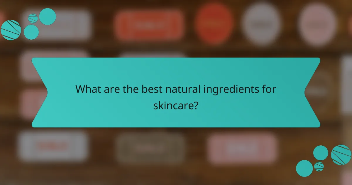 What are the best natural ingredients for skincare?